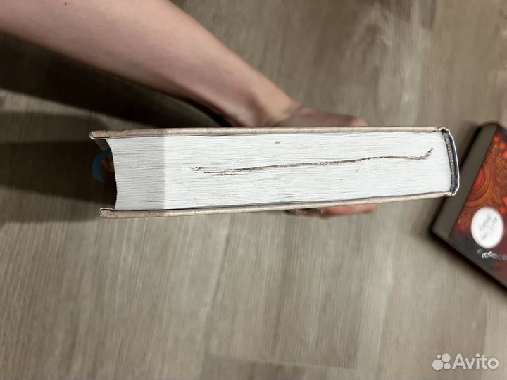 Люси Уорсли