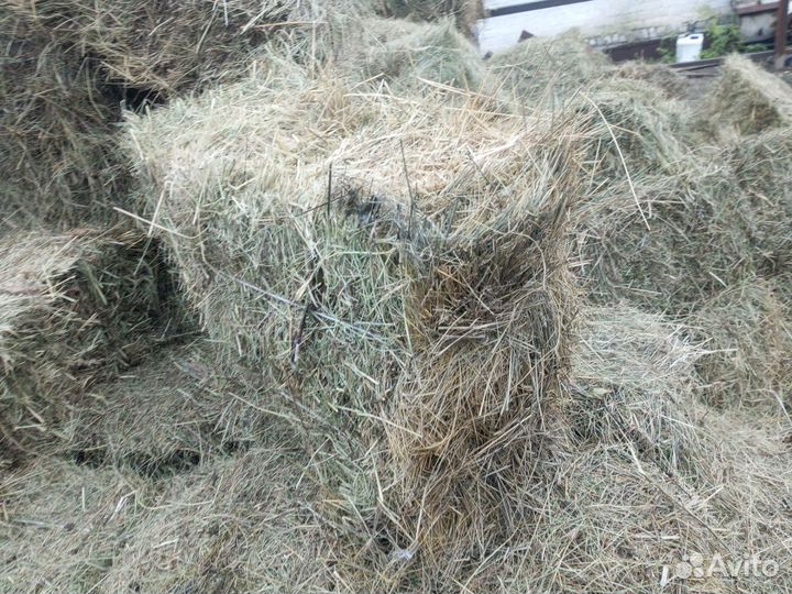 Сено в тюках
