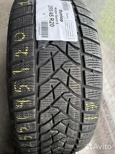 Dunlop Winter Sport 5 255/45 R20 и 285/40 R20 V