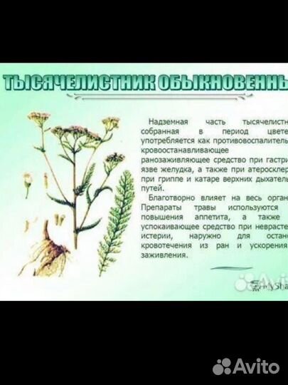 Травяной сбор