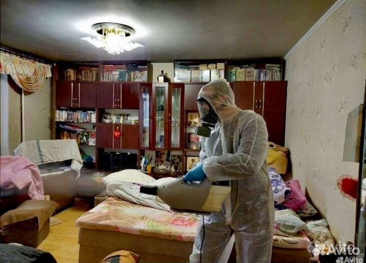 Уничтожение тараканов клопов мышей блох муравьёв