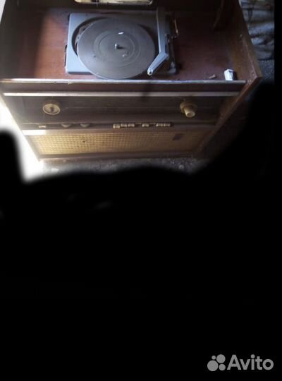 Рекорд —61 ламповая радиола