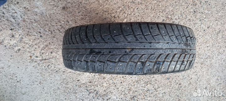 Gislaved Nord Frost 5 175/65 R14