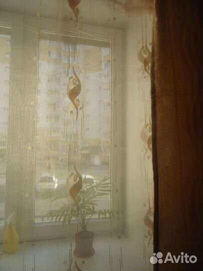 Новые шторы