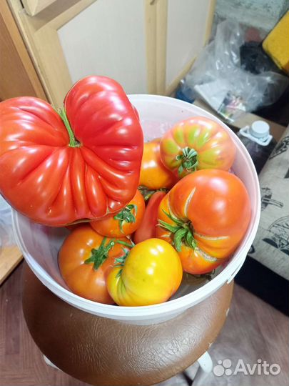 Семена томатов коллекционные
