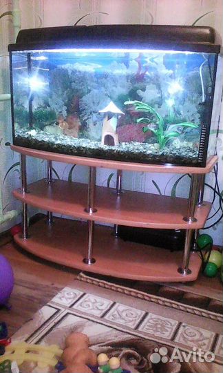 Тумбы под аквариумы и тв по вашим размерам