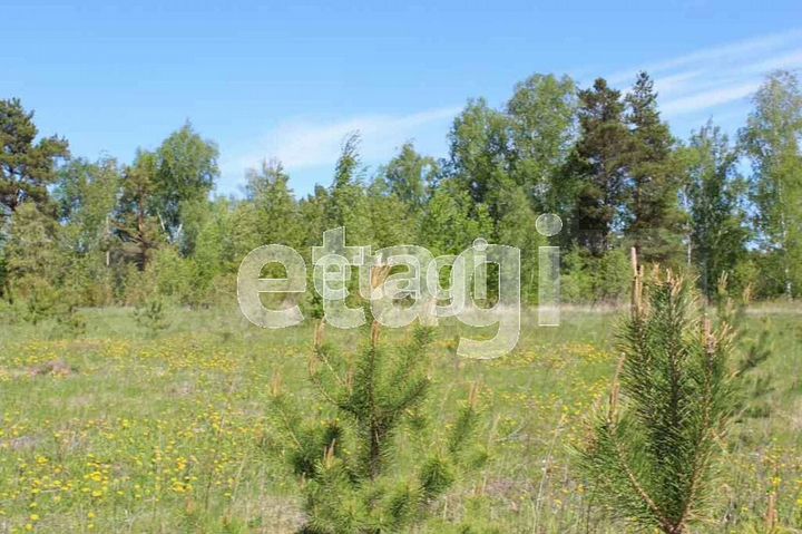 Участок 10 сот. (ИЖС)