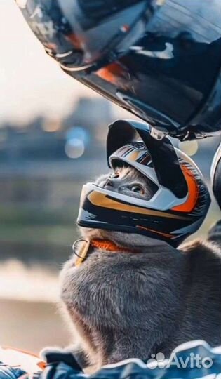 Удаленная работа на дому с ежедневной оплатой