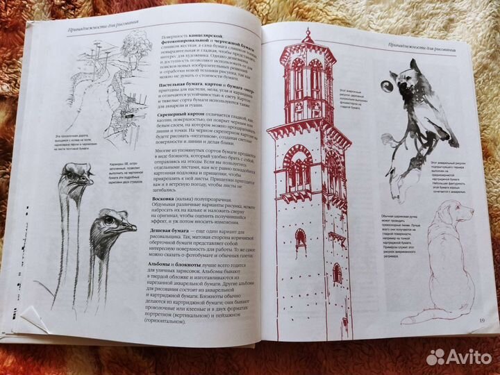 Книга,Основы техники рисунка