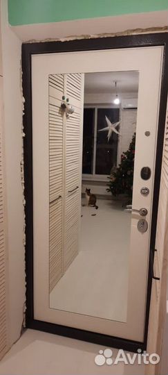 Дверь металлическая с зеркалом