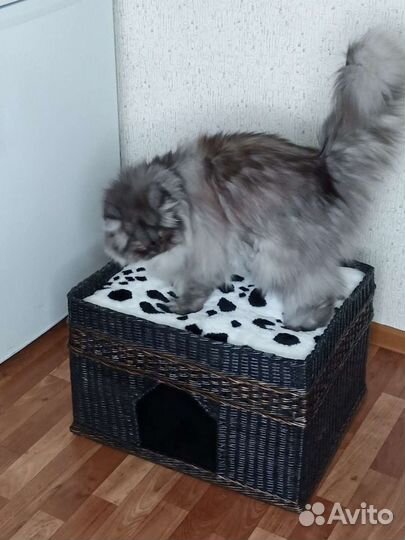 Домик для кошки