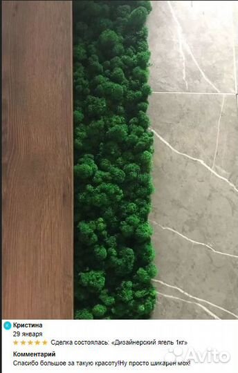 Стабилизированный мох для интерьера стен и кашпо