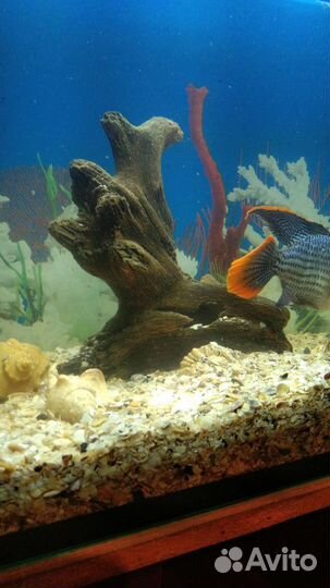 Аквариум с тумбой 200 литров
