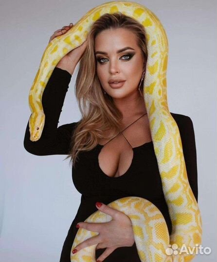 Фотосессия со Змеями (аренда)