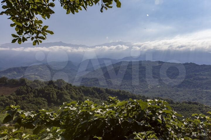 Участок 8 сот. (ИЖС)