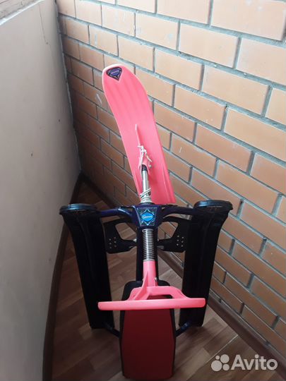 Аргомак детский