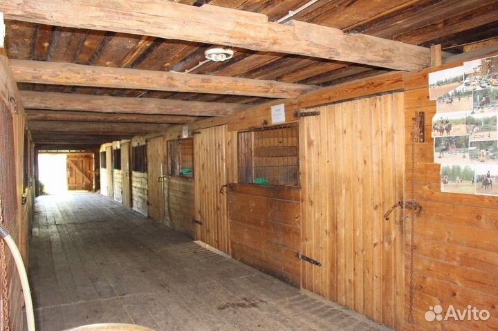 Постой лошадей