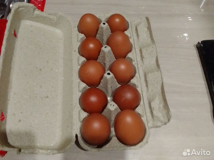 Яйцо домашнее