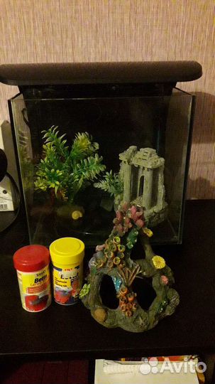 Аквариум Terra