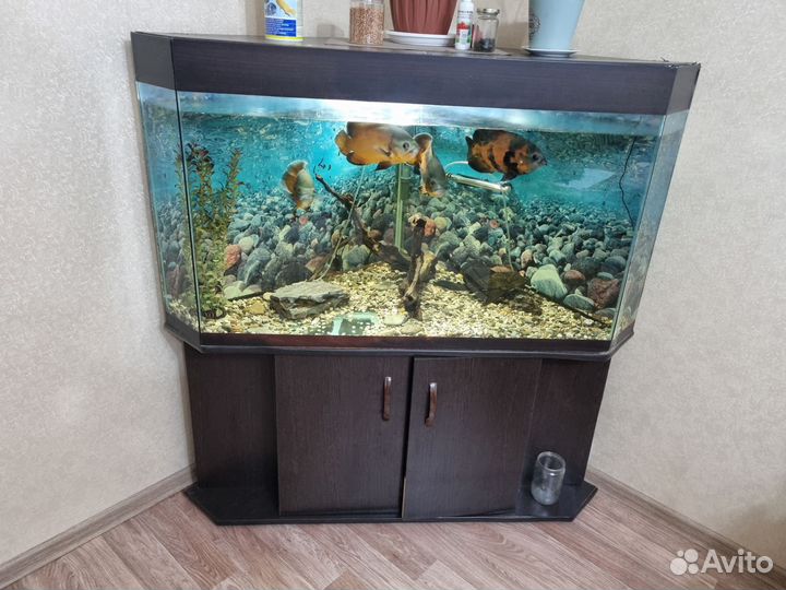 Аквариум с тумбой 400 литров