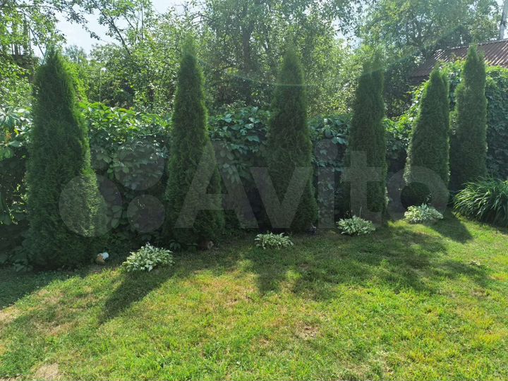 Участок 6 сот. (СНТ, ДНП)