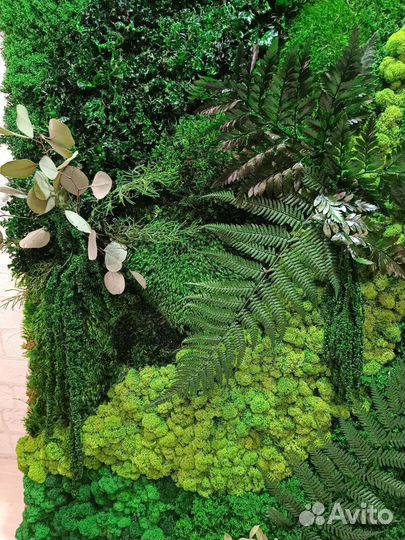 Панели из стабилизированного мха по вашим размерам