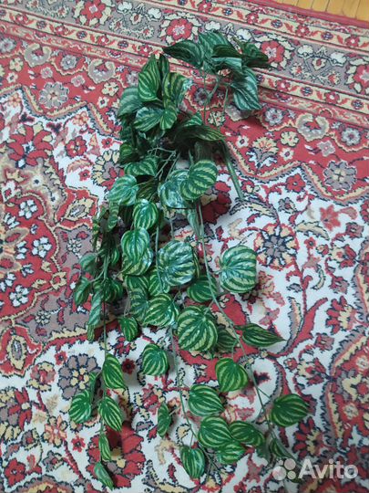 Декоративные ветки,б/у, в хорошем состоянии