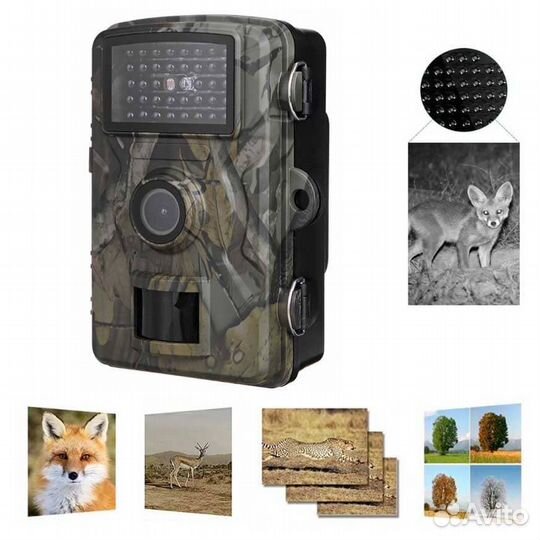 Фотоловушка Hunting Camera