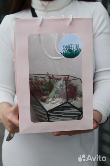 Флорариум цветы подарок суккуленты