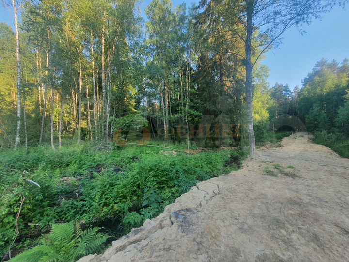 Участок 4,67 га (СНТ, ДНП)