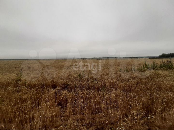 Участок 2,35 га (СНТ, ДНП)