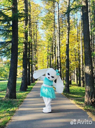 Поздравление Ростовой куклы