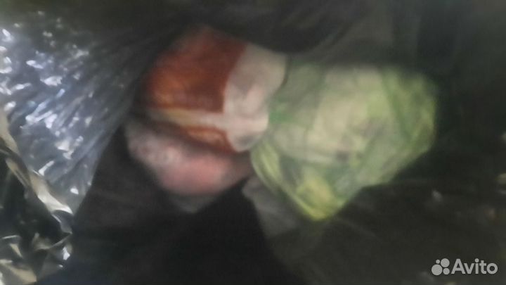 Вещи детские/женские/мужские