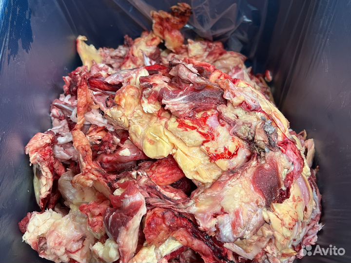 Корм для собак натуральный говяжий