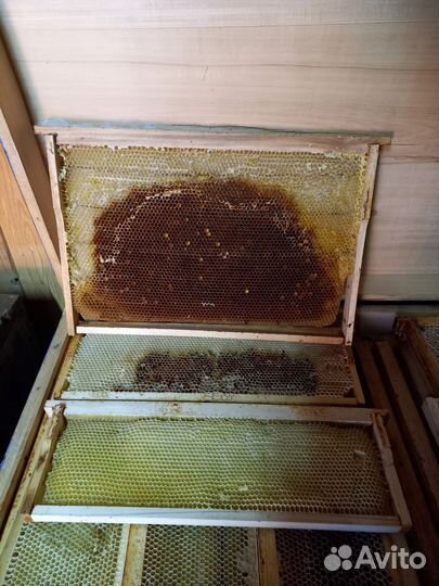 Инвентарь для пасеки пчеловодческой