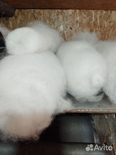 Собачья шерсть