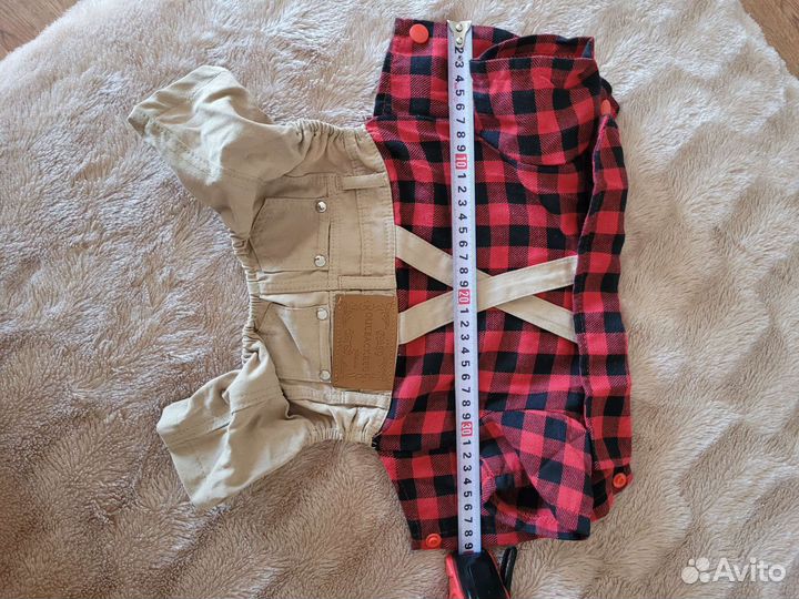 Одежда для собак мелких пород