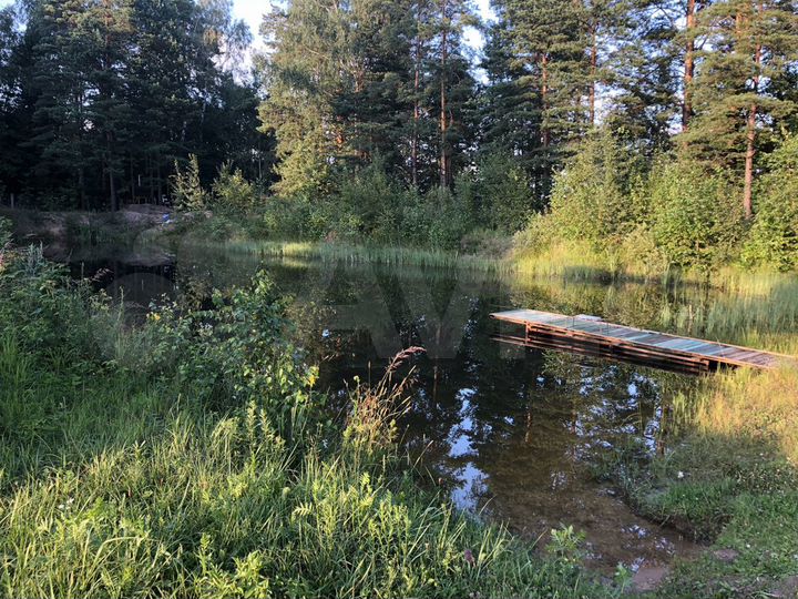 Участок 6,1 сот. (СНТ, ДНП)