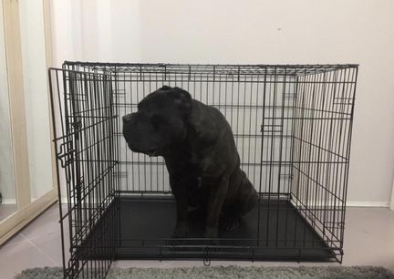 Клетка большая для собак новая в упаковке