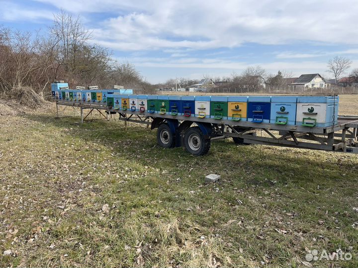 Пчелы пасека пчелоприцеп