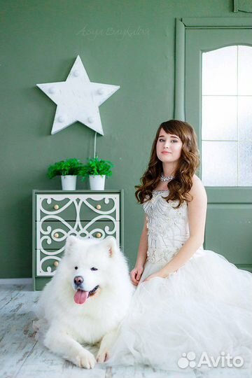 Передержка