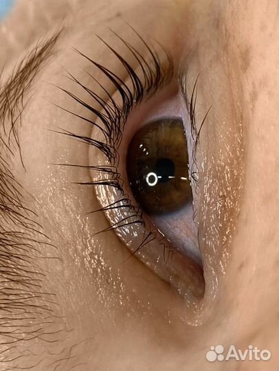 Мастер бровист