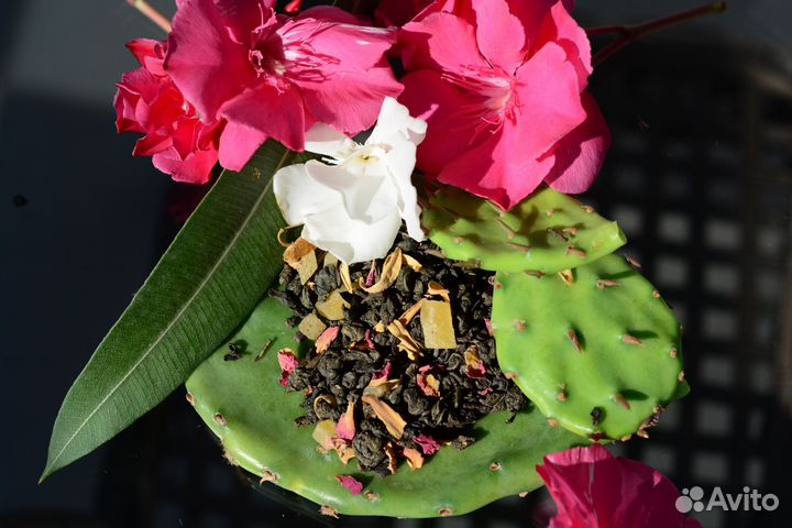 Чай зелёный крупнолистовой 