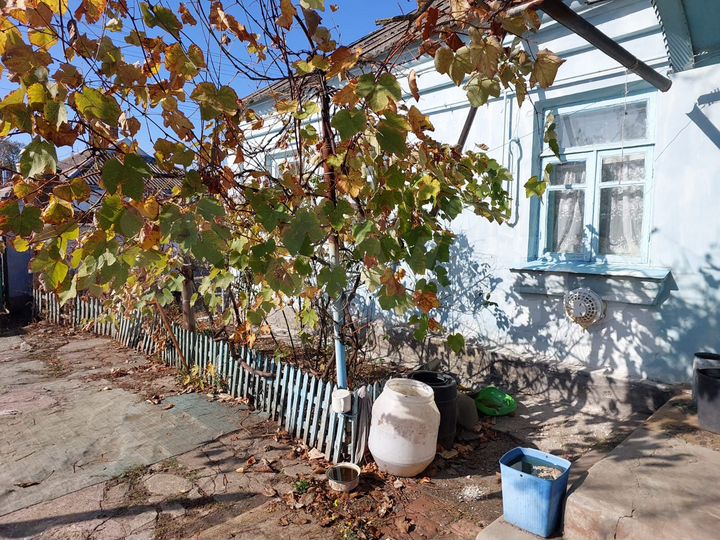 Дом 40 м² на участке 11 сот.