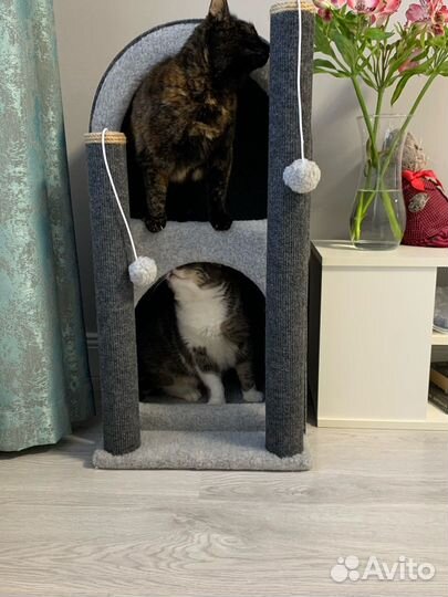 Когтеточка домик для нескольких кошек