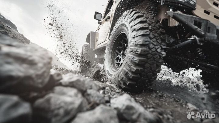 Грузовые шины Evergreen ETL25 r 19.5