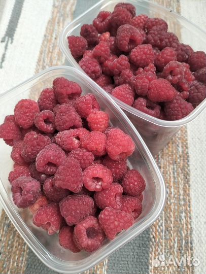 Малина свежая