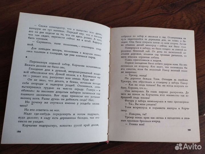 Как закалялась сталь 1975 год.Детектив и Политика