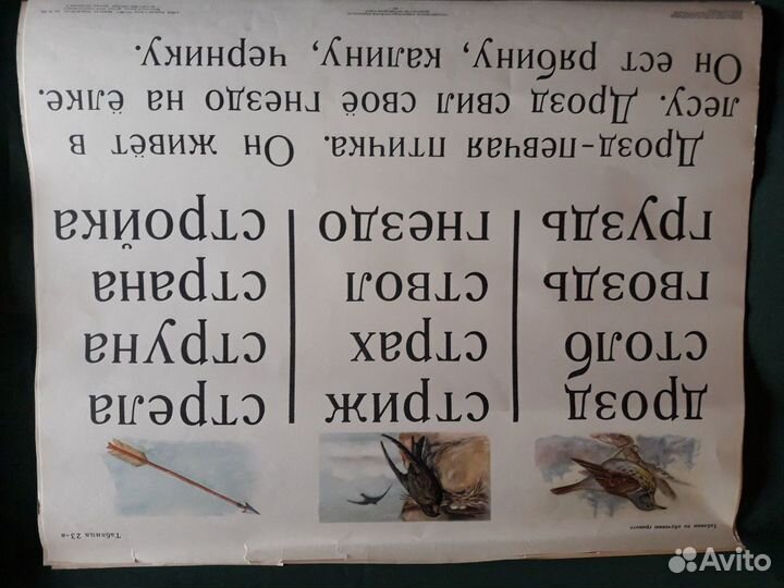 Таблицы по обучению грамоте, 1953г