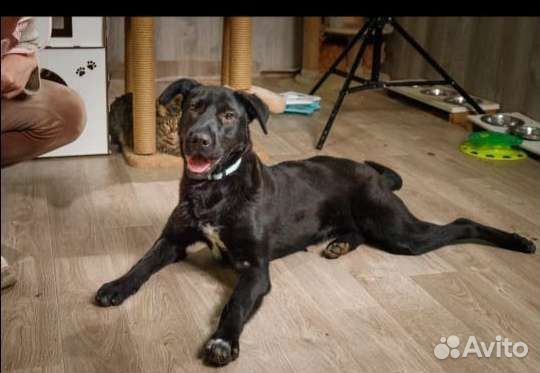 Девочка 9мес